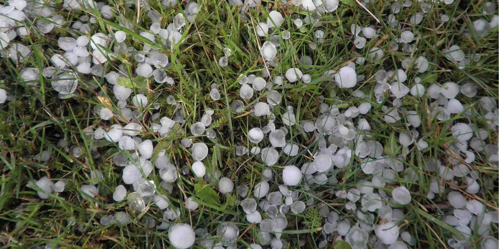 Hail on the grass.png